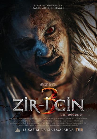 Poster for Zir-i Cin 3