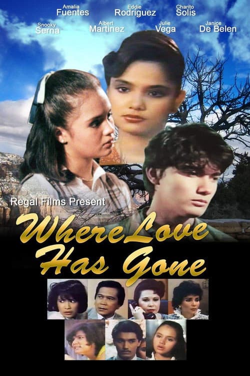 Poster for Where Love Has Gone