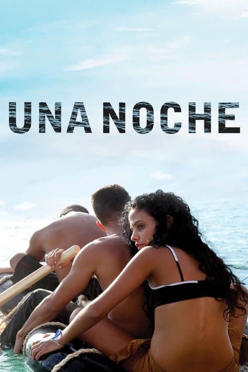 Poster for One Night