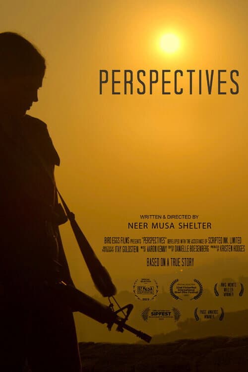 Poster for Perspectives