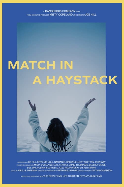 Poster for Match in a Haystack