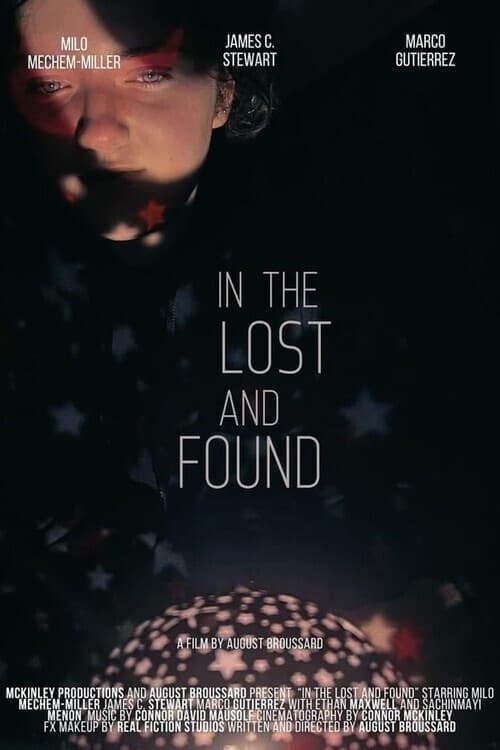 Poster for In the Lost and Found