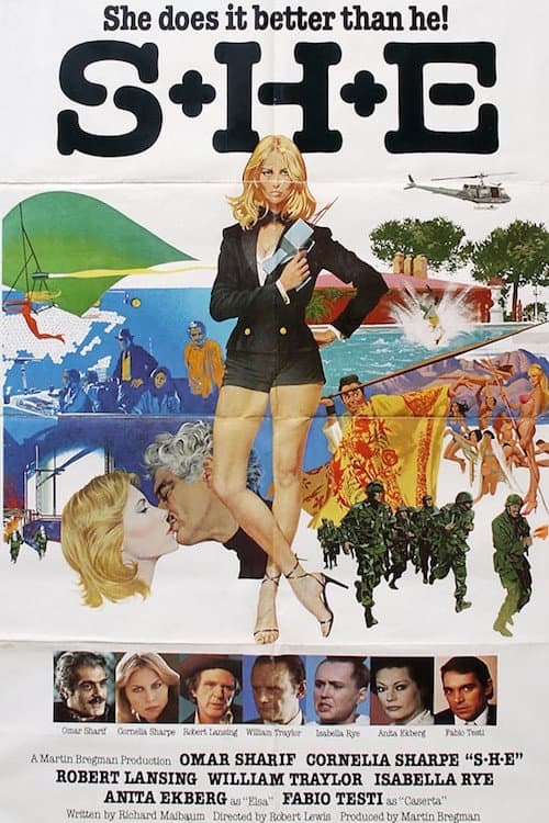 Poster for S+H+E: Security Hazards Expert