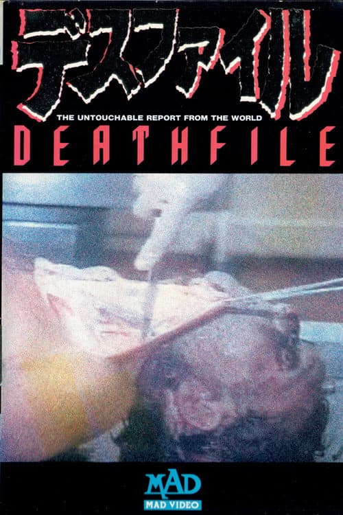 Poster for Death File