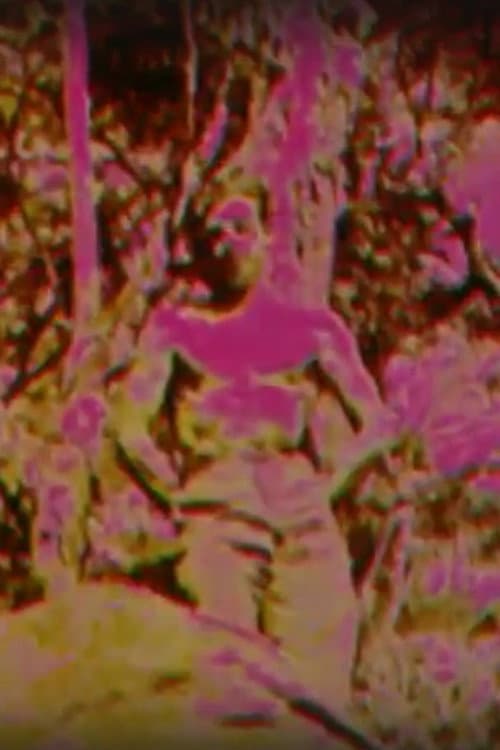 Poster for Album