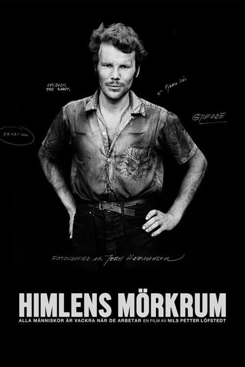 Poster for Himlens mörkrum