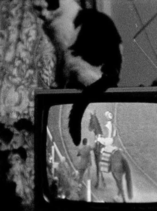 Poster for Cat on TV