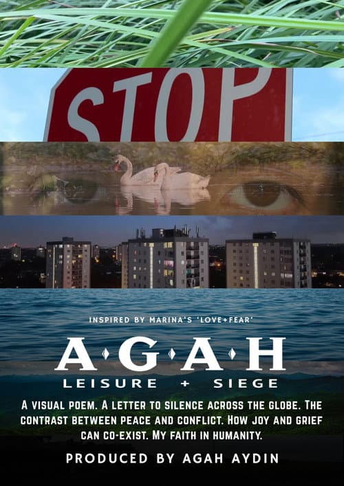 Poster for Leisure + Siege