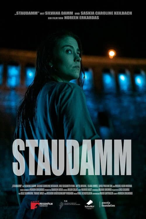 Poster for Dam