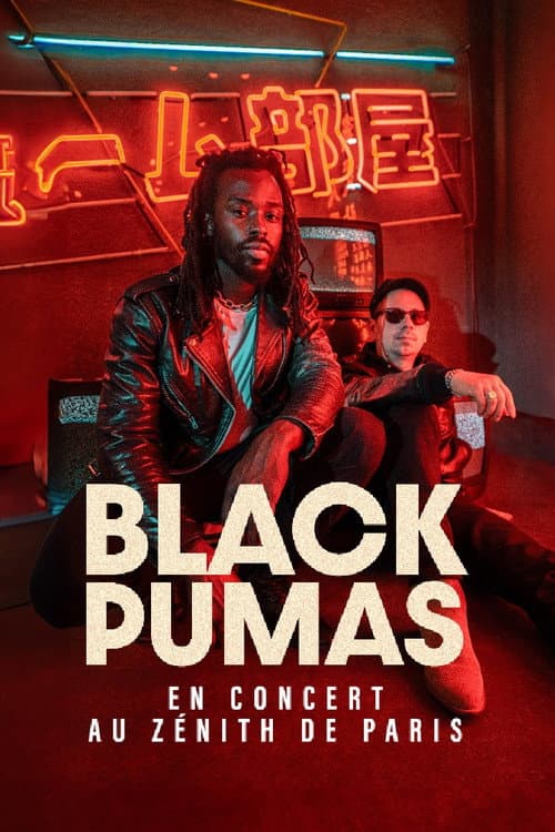 Постер до фільму «Black Pumas en concert au Zénith de Paris»