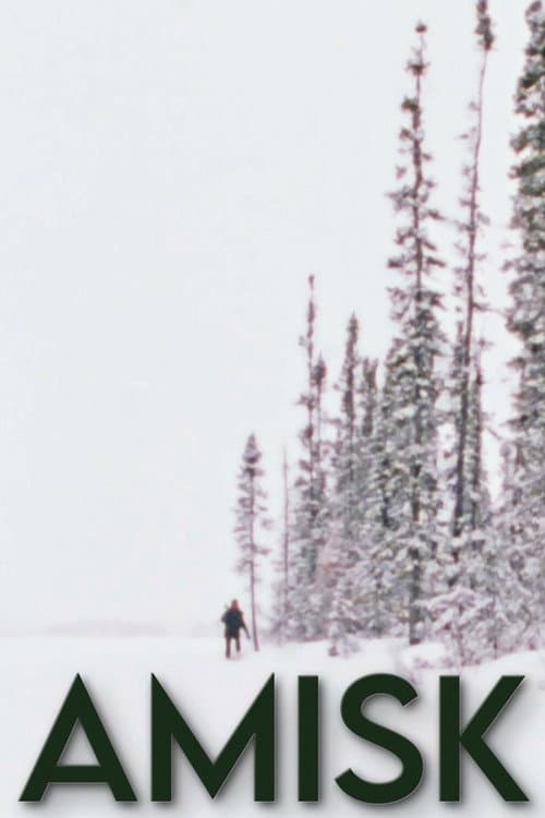 Poster for Amisk