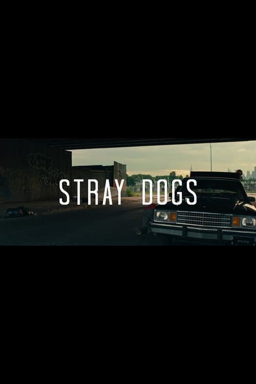 Poster for Stray Dogs