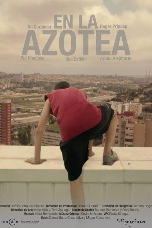 Poster for On the Roof