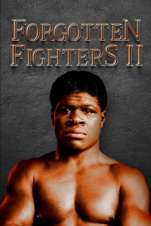 Poster for Forgotten Fighters II