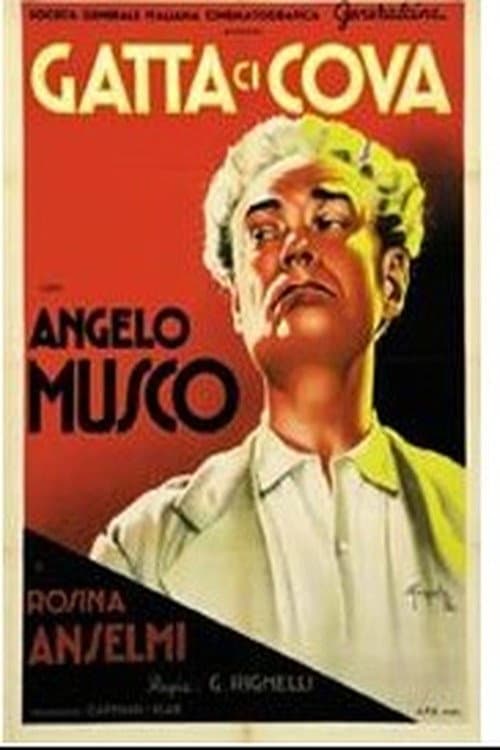 Poster for Gatta ci cova