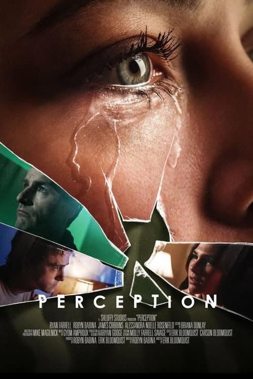 Poster for Perception