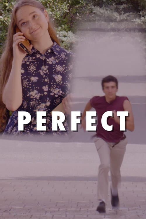 Poster for Perfect