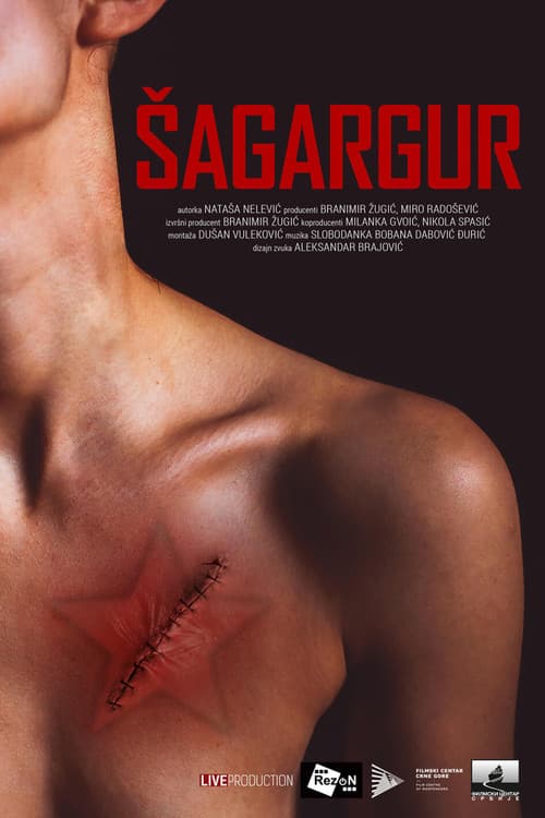 Poster for Saint Gregory