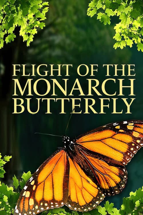 Poster for Flight of the Monarch Butterfly