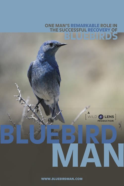Poster for Bluebird Man