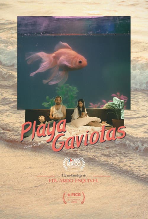 Poster for Seagulls Beach