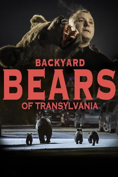 Poster for Backyard Bears of Transylvania