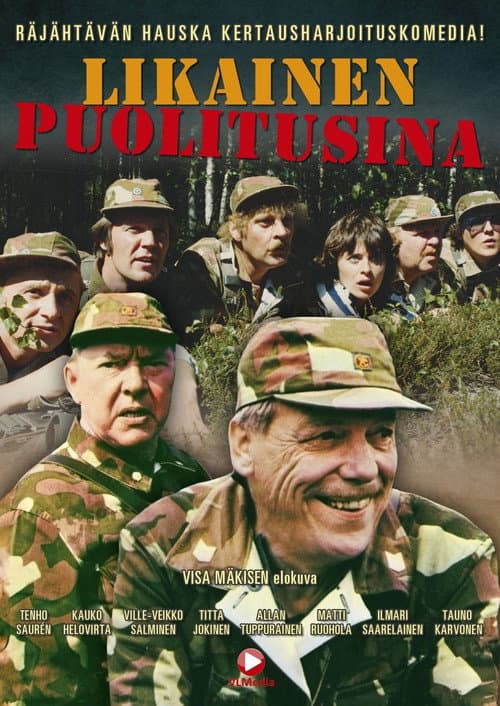 Poster for Likainen puolitusina