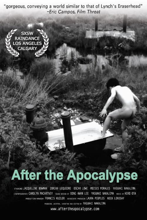 Poster for After the Apocalypse