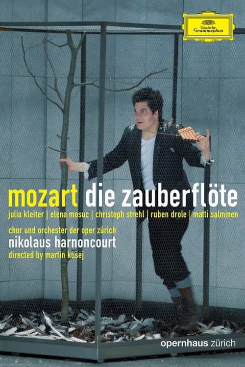 Poster for Die Zauberflöte