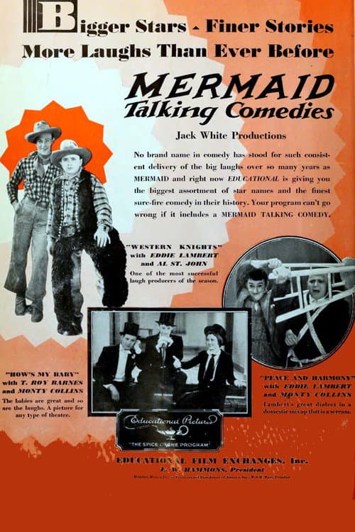 Poster for Western Knights