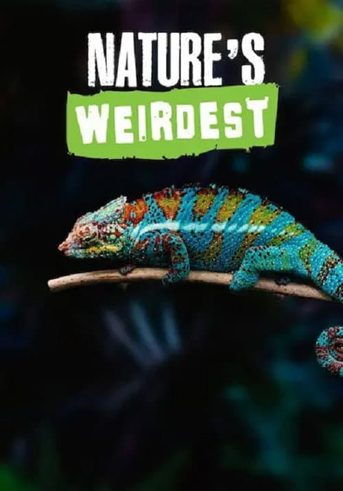 Poster for Nature's Weirdest