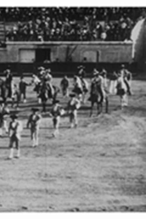 Постер до фільму «Sortie de la Quadrille et commencement de la course (Vue de trois quarts)»