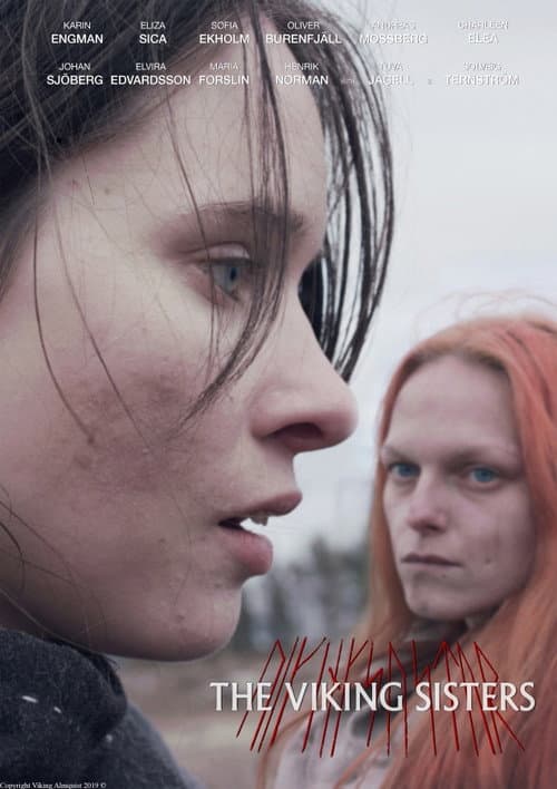 Poster for The Viking Sisters