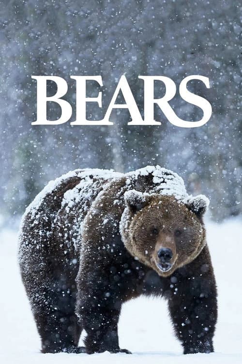 Poster for Bears