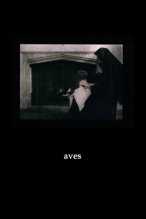 Poster for Aves