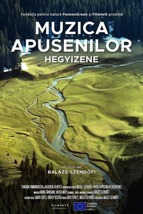 Poster for Hegyizene - Muzica Apusenilor