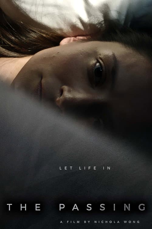 Poster for The Passing