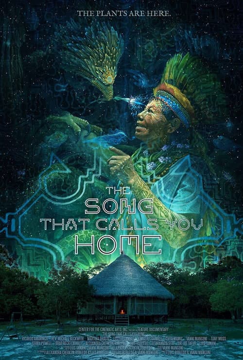 Poster for The Song That Calls You Home