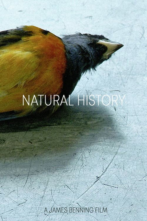 Poster for Natural History