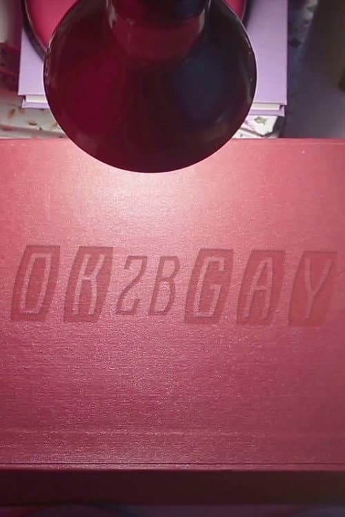 Poster for OK2BGAY