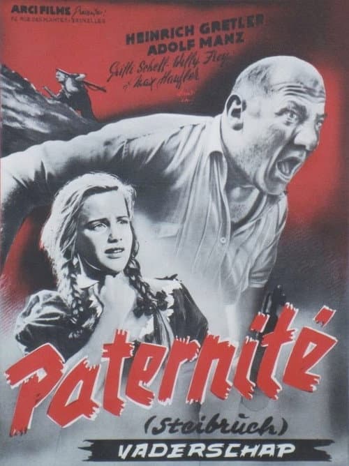 Poster for Steibruch