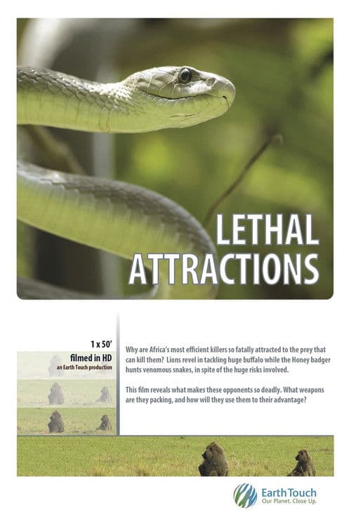 Poster for Lethal Attractions