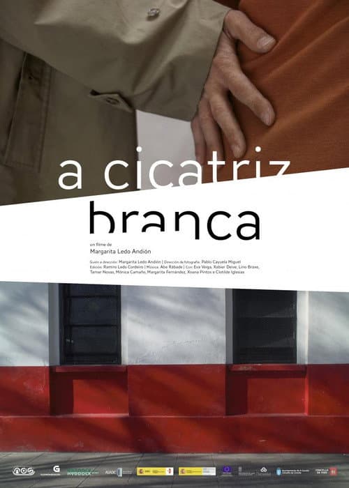 Poster for Apuntamentos para un filme