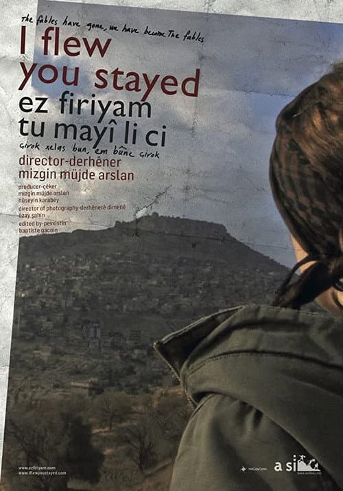 Poster for I flew you stayed
