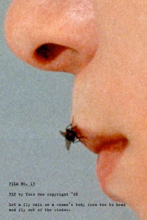 Poster for Fly