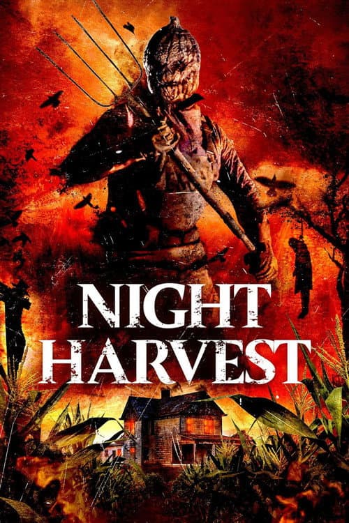 Poster for Night Harvest