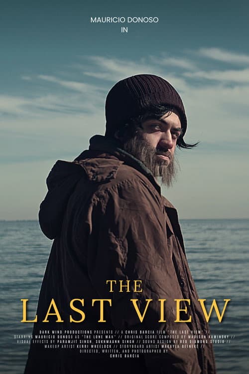 Poster for The Last View