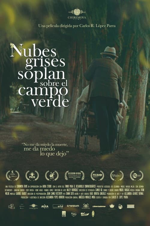 Poster for Nubes grises soplan sobre el campo verde