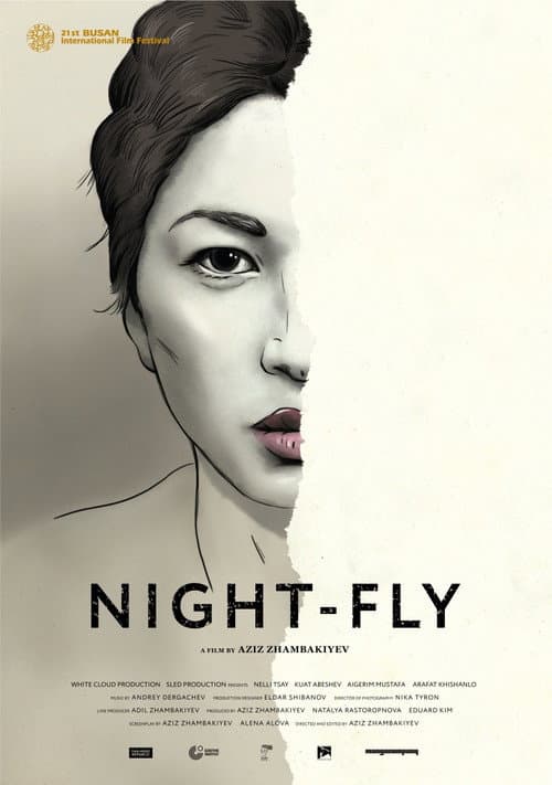 Poster for Night-Fly