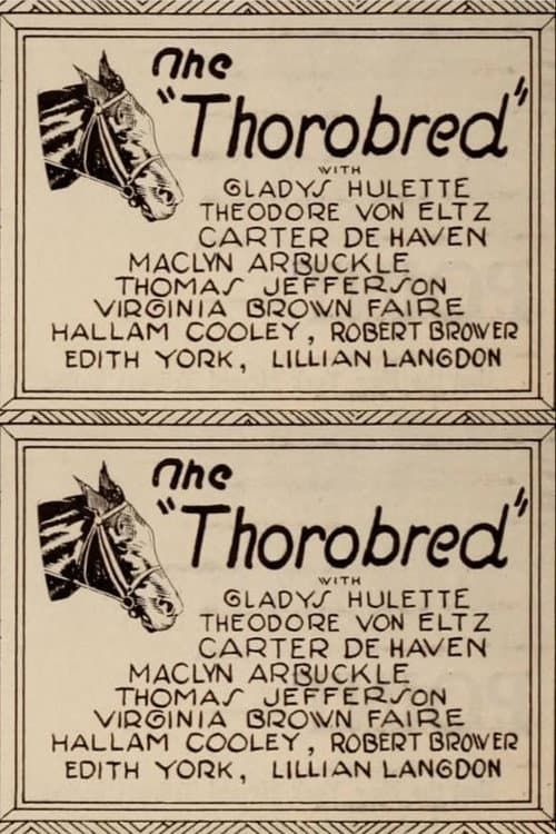 Poster for The Thoroughbred